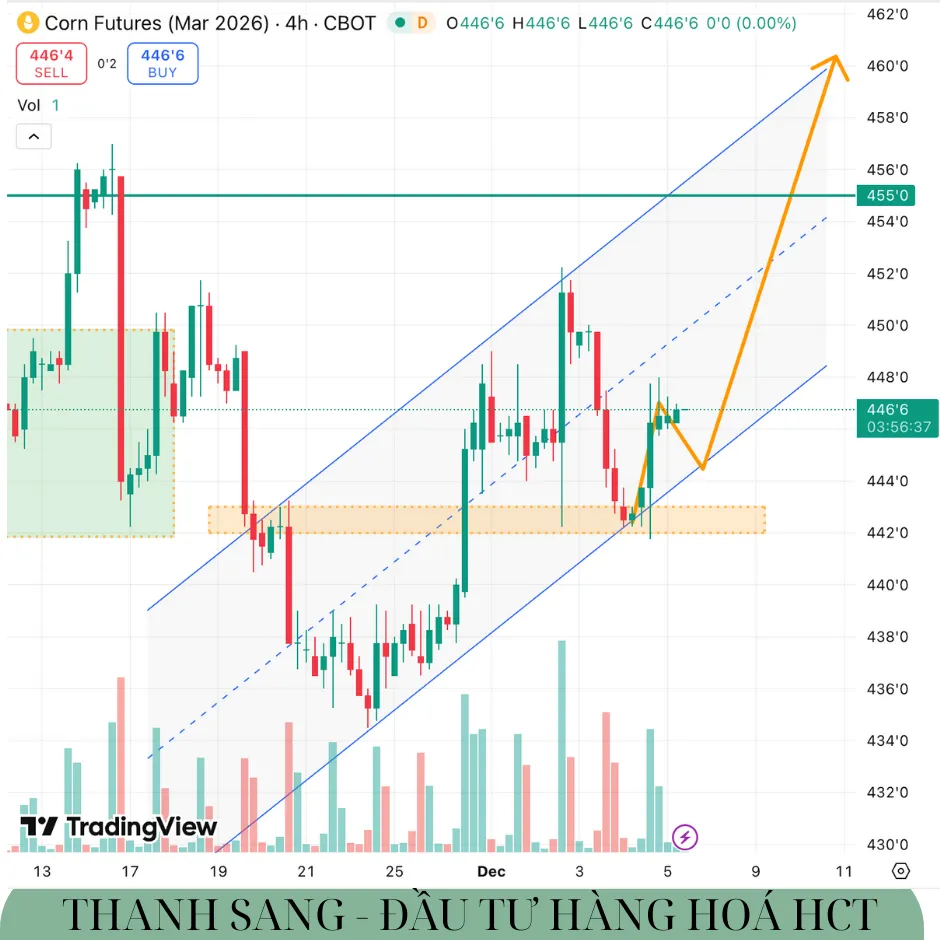 📈  NGÔ (ZCEH26) NGÀY 05/12/2025